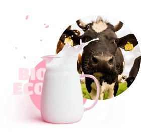 cow and milk